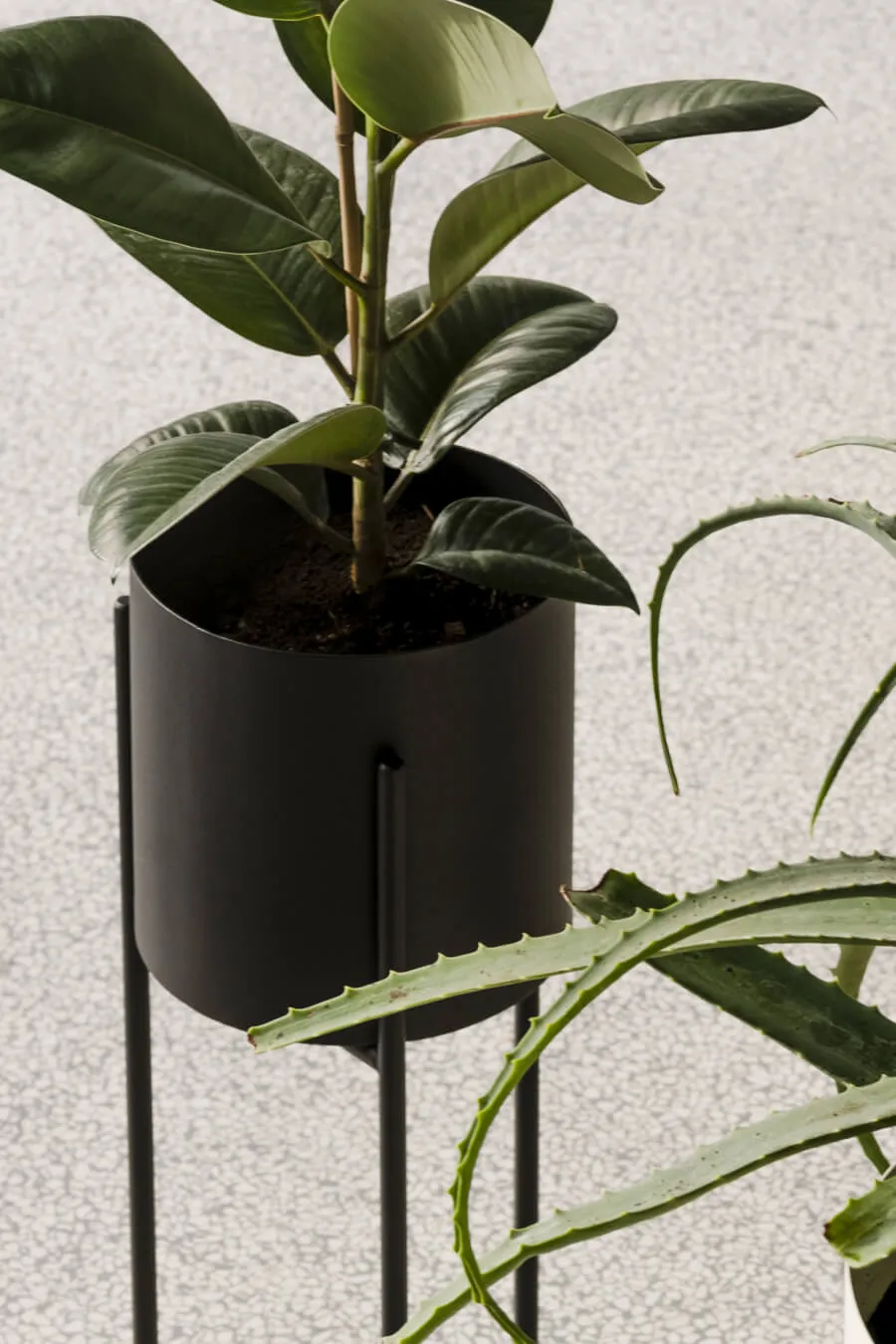 Maki Plant Pot - tall