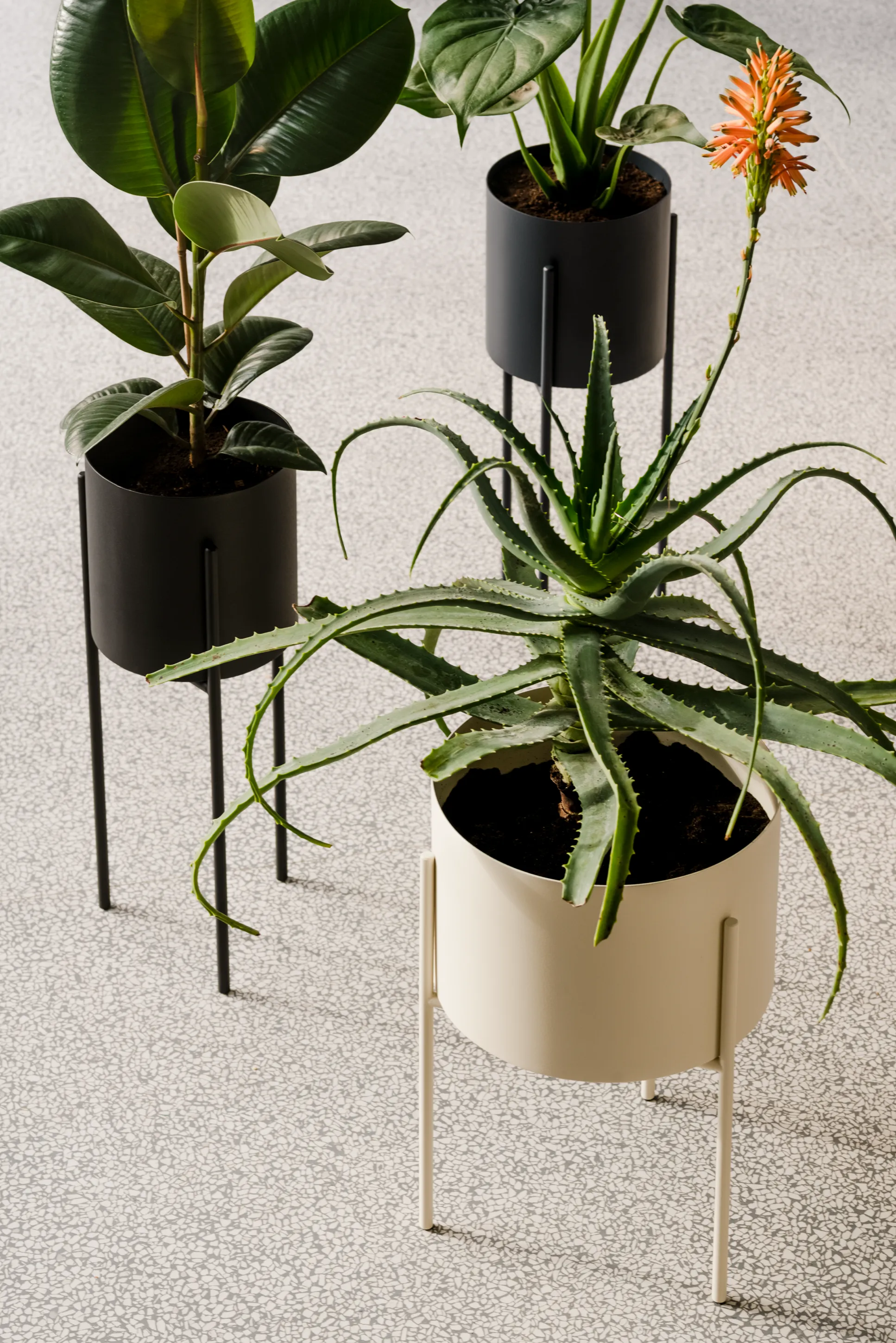 Maki Plant Pot - wide