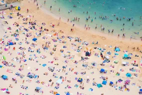 Manly Beach Sunbathers