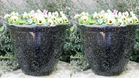 Round Gloss Honey Garden Pot | Set of 2